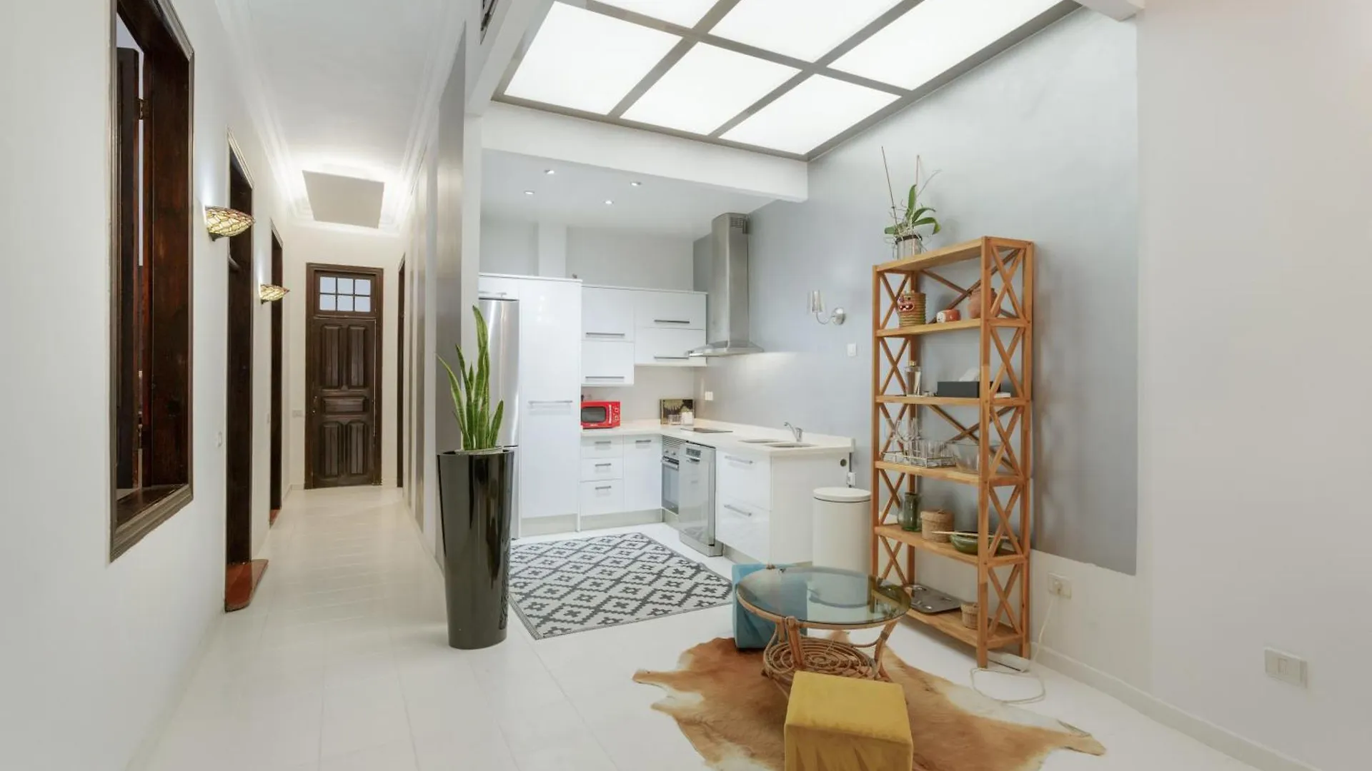 Suitme Teror